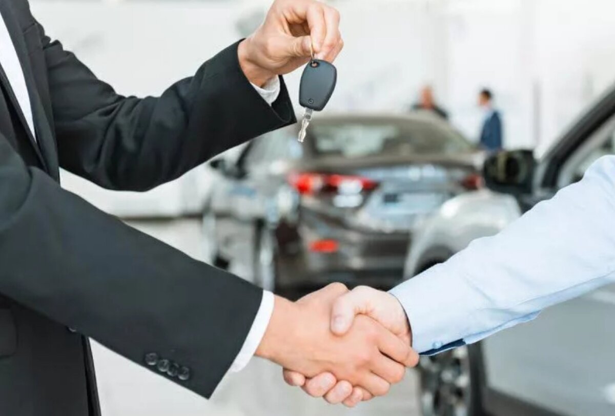 Фото взято из интернета 