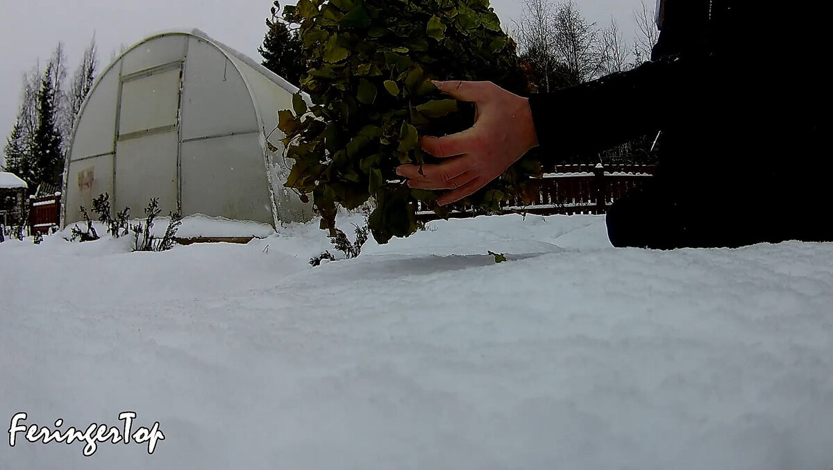 Взял сухой веник для бани