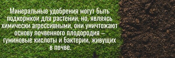 #минеральные удобрения 