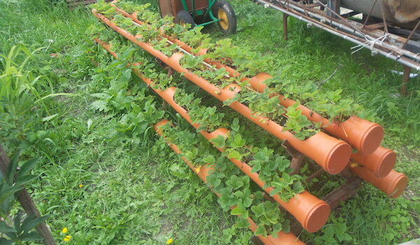 Фото: https://attuale.ru/wp-content/uploads/2018/10/20160603132341.jpg