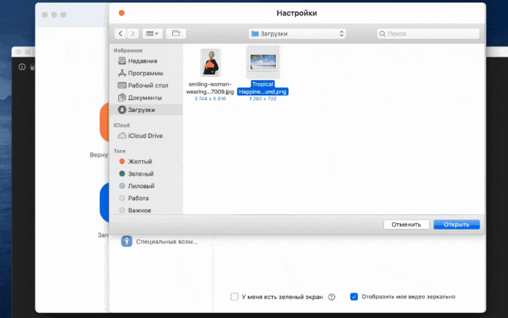 Источник Zoom