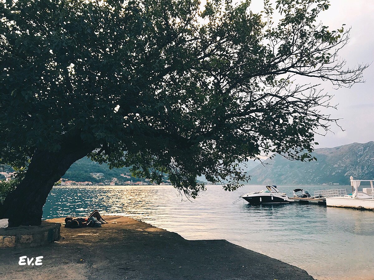 Фото из личного архива. Черногория , г.Котор.