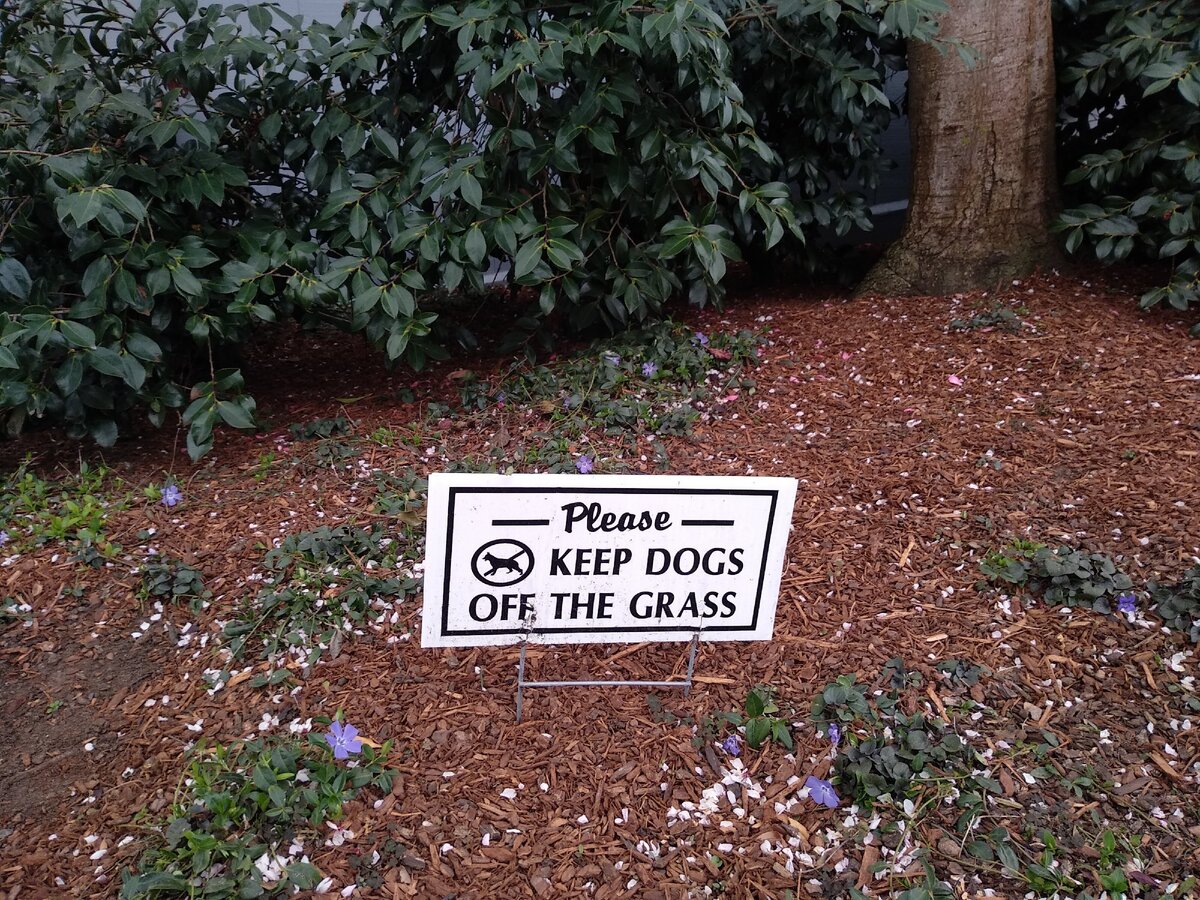 Фразовые глаголы - это очень важно! Но учить их нужно с умом!