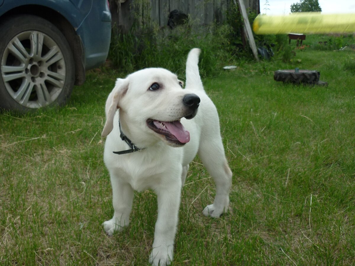 Маленькая Мия