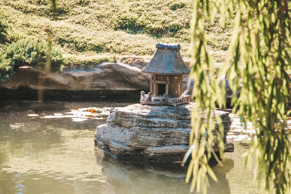 Японский сад с прудом