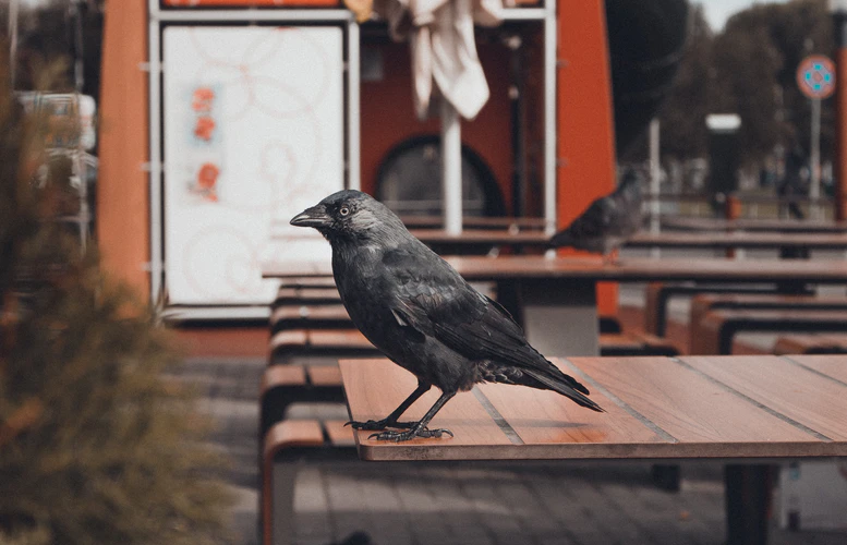unsplash.com