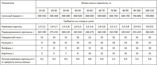 Таблица для нормального откорма свиней: состав рациона и нормы