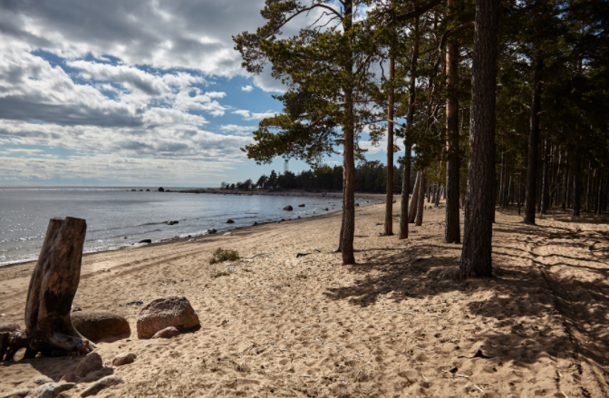 Фото из открытого источника