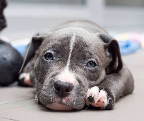 Потеря аппетита