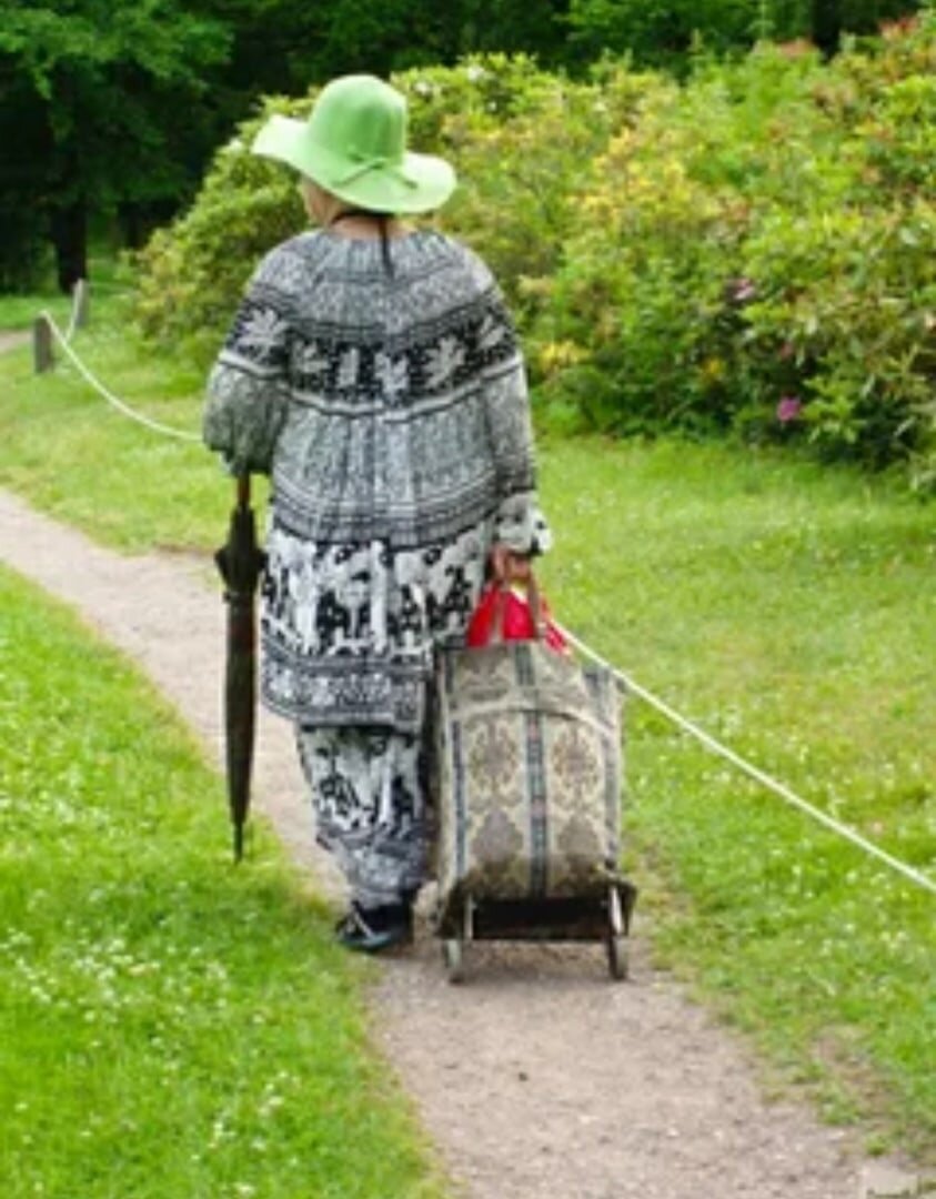 Лапшевня бабули хо. Старушка с тележкой. Бабки с тележками. Бабушка с тележкой. Бабка с сумками.