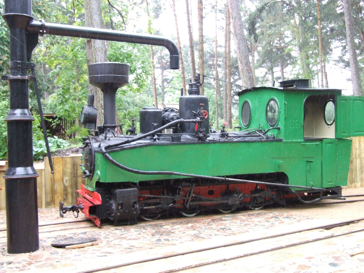 Красавчик царских времен. Фото автора