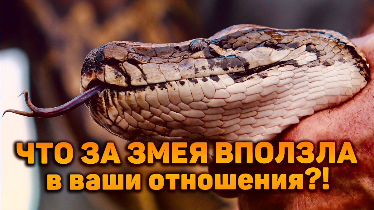 Гадание от Анны