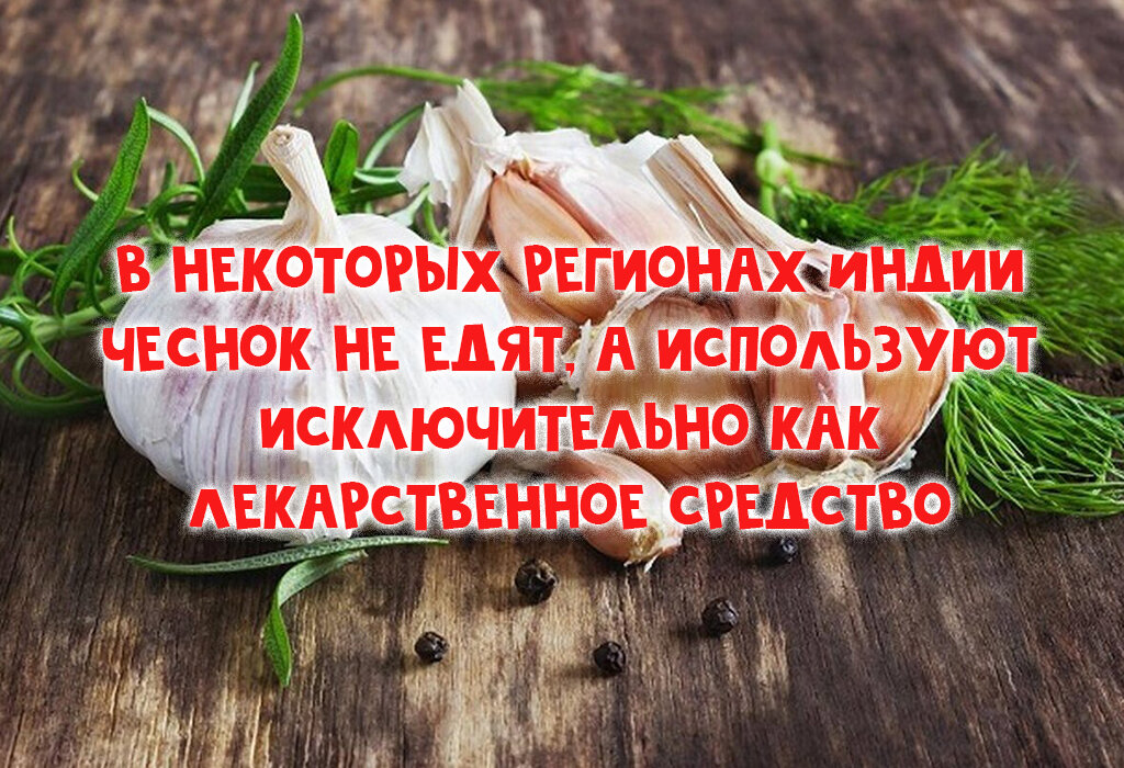 Чеснок польза и вред