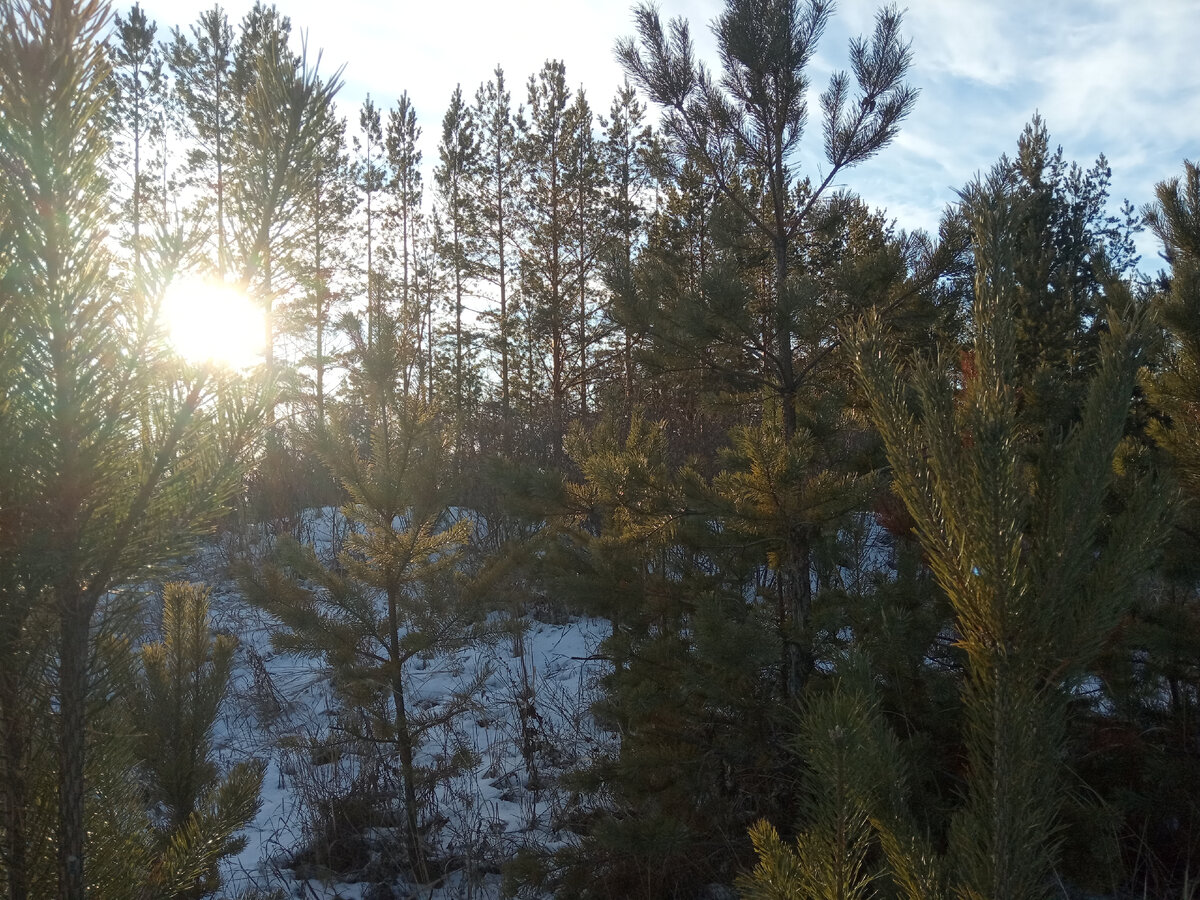  Фото из личного архива автора