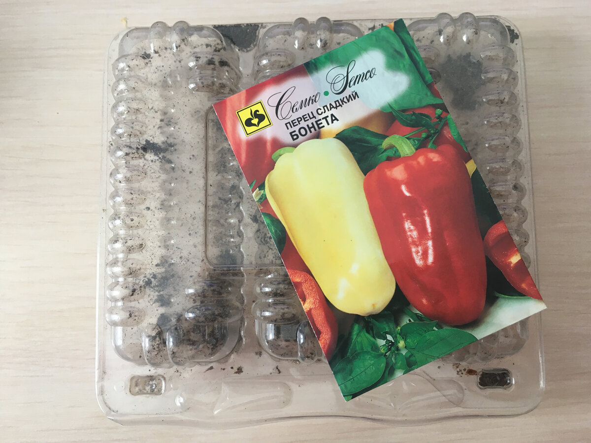 семена сладкого перца