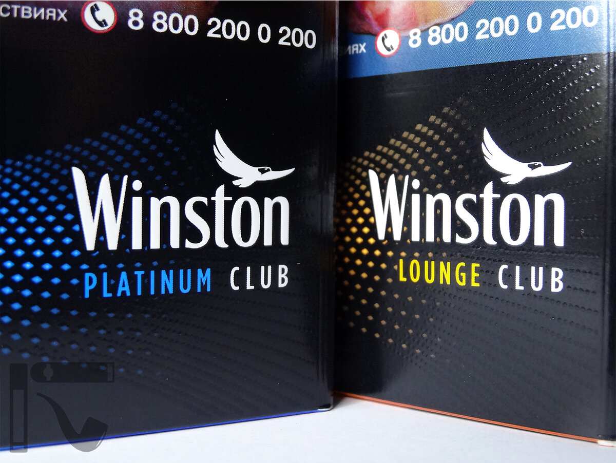 Винстон клаб сигареты. Winston Club Platinum.