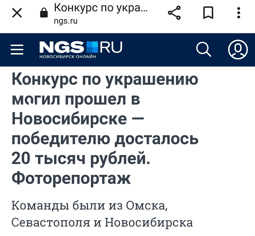 Скриншот с сайта "ngs.ru"