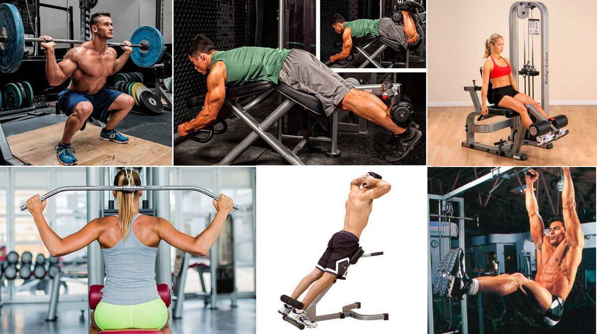 С чего начать тренировки новичку. Упражнения в зале. Тренажерные упражнения. Упражнения в тренажерку. Упражнения на ноги в тренажерном зале.