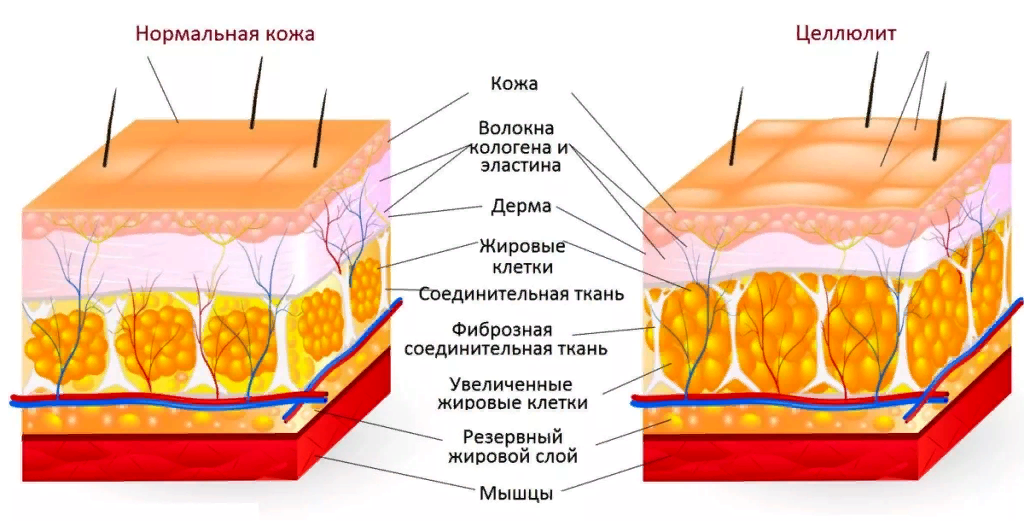 civi - свободный доступ