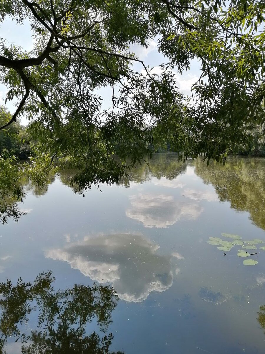 Большой пруд