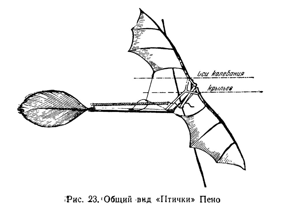 Общий вид «Птички» Пено