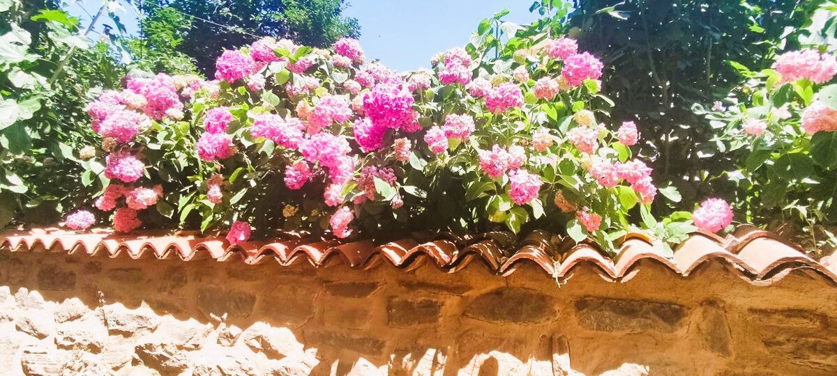 Личное фото