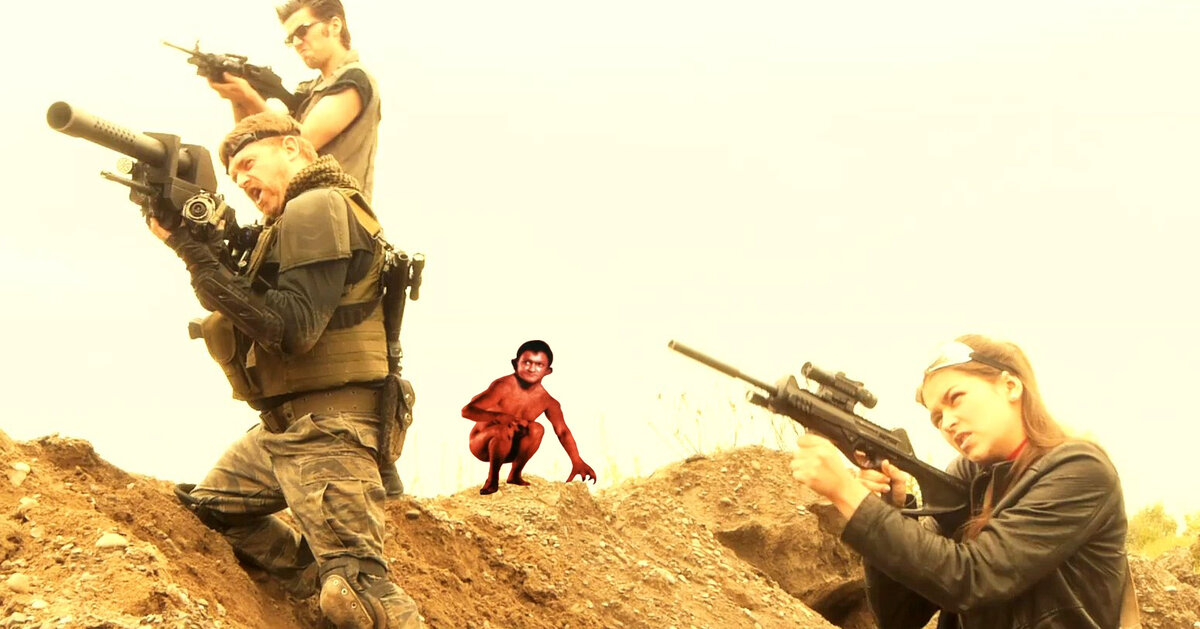 На штурм, собаки!