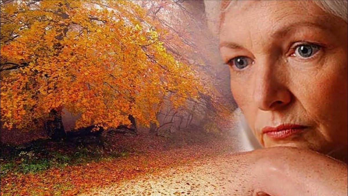 яндекс картинки