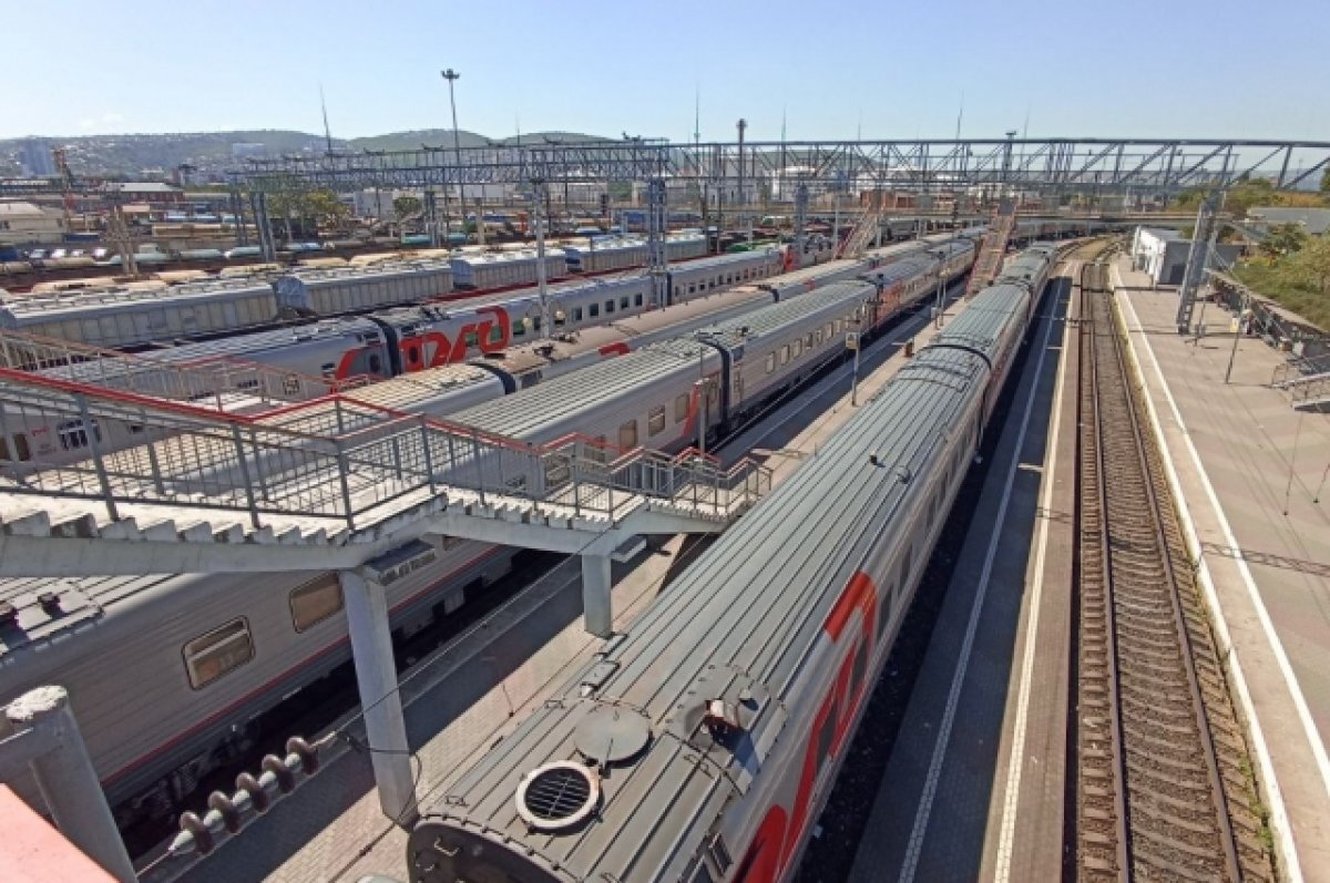    Россиянин рассказал о минусах поезда «Янтарь» из Москвы в Калининград