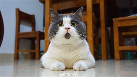 Фото из Интернета.