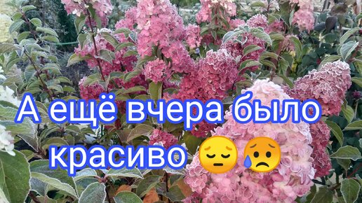 ЕЩЁ ВЧЕРА БЫЛО ВСЁ КРАСИВО 😔😥