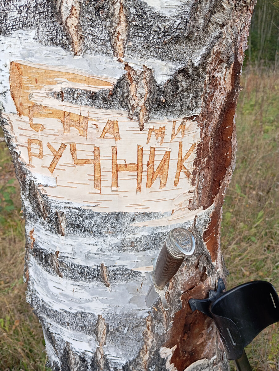 Ручник это кличка нашего балласта, который с нами ездит, редкий тормоз 😁😁😁😁