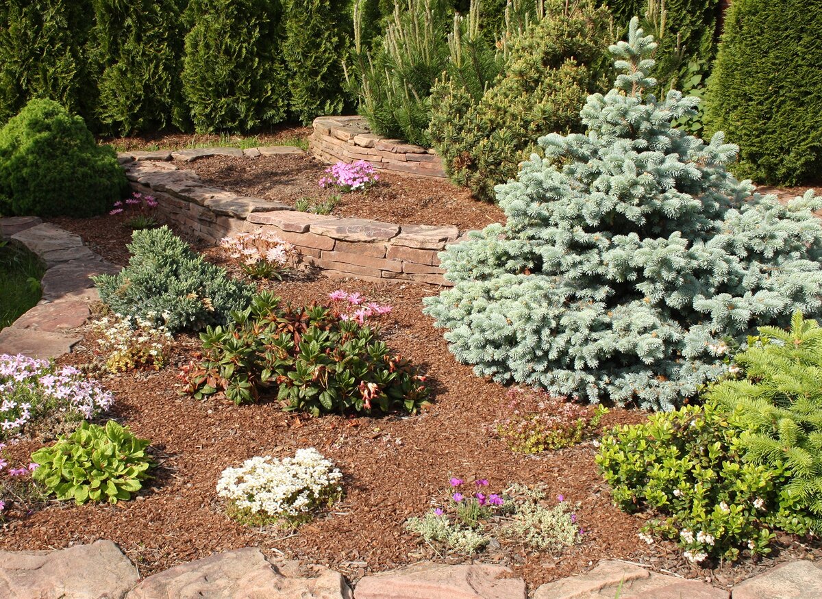 Мульча - измельчённая, отфильтрованная и очищенная кора хвойных деревьев. Покрытие из сосновой мульчи используется в растениеводстве для защиты верхнего слоя почвы, а также в ландшафтном дизайне, благодаря своим прекрасным декоративным свойствам.