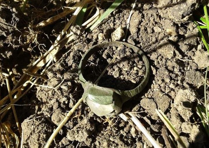 о-кольцо 095-1703, шт.