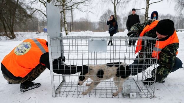 Правообладатель иллюстрацииNEVAR VITALIY / TASS