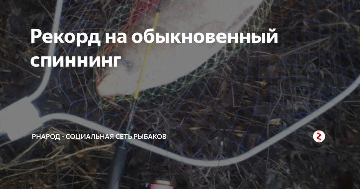 Рекорд на обыкновенный спиннинг | РНарод - социальная сеть рыбаков | Дзен