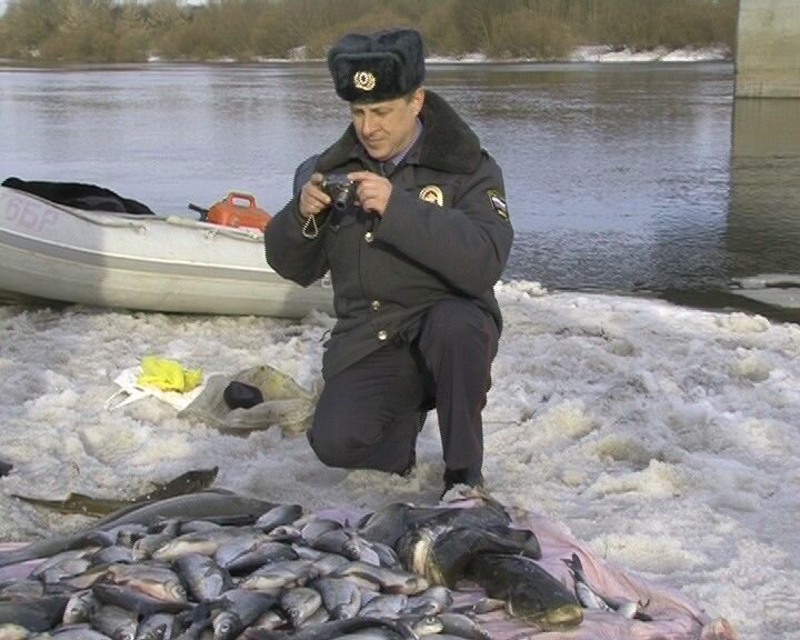 Где сейчас ловится. Незаконная добыча вылов водных биологических ресурсов ст 256 УК РФ. Браконьерство рыбалка. Поймал рыбу. Браконьерская рыбалка.