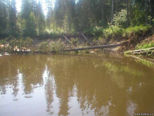 
Цвет воды после дождя.