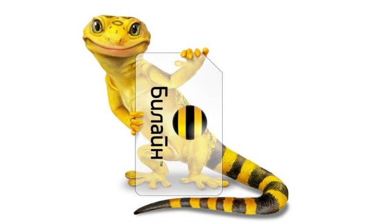 Услуга Билайн "Хамелеон"