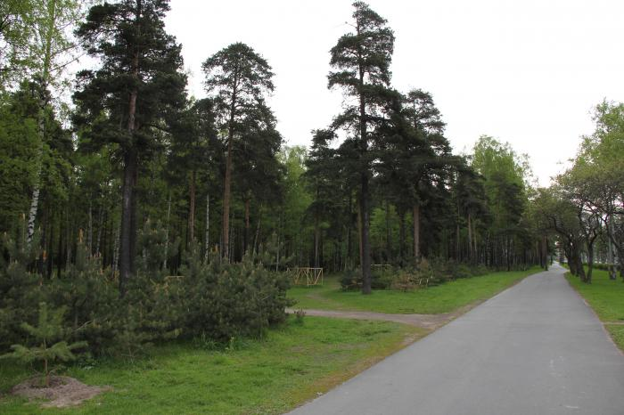 The park пискаревский просп 6 отзывы. Пискарёвский лесопарк Санкт-Петербург. Пискаревский парк СПБ. Пискаревский лесопарк. Санкт-Петербург Пискарёвский парк Пискарёвский парк.