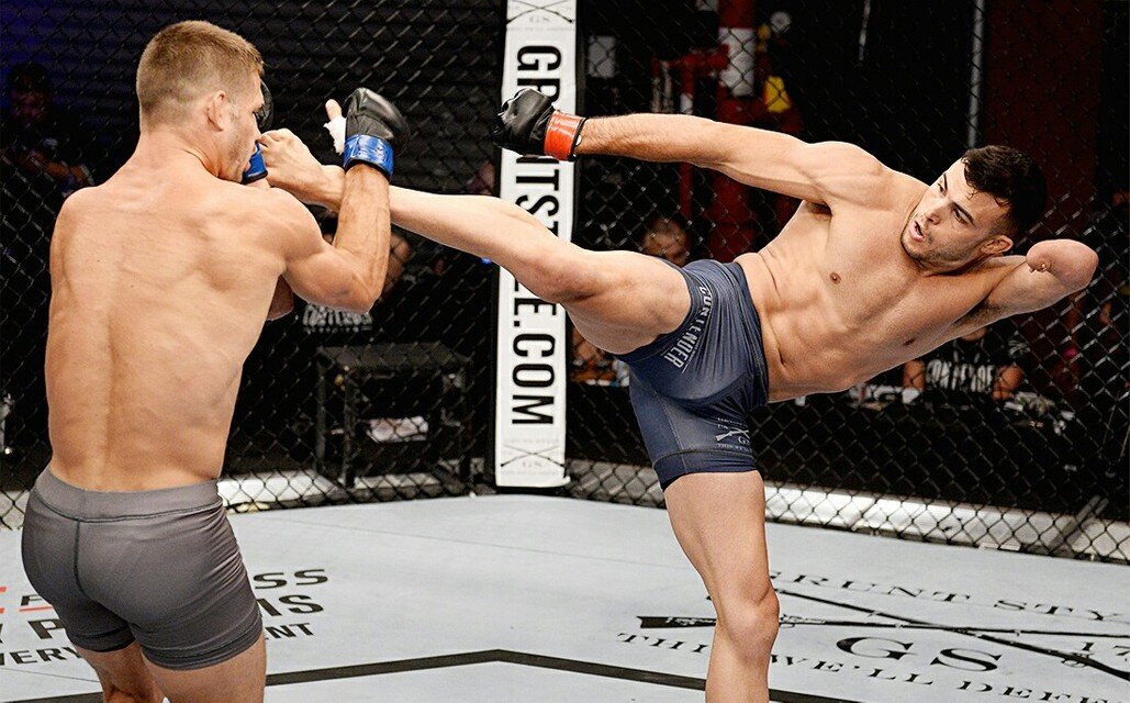 " Я всегда знал, что UFC слишком жесткое место для Ника. Это место для людей с двумя руками и двумя ногами. Это реальная сделка. Я поместил его в серию претендентов, чтобы посмотреть, сможет ли он добраться до UFC. У него не получилось, я не смогу ему помочь, так как в октагоне добывают победу руками и ногами” - Дана Уайт.