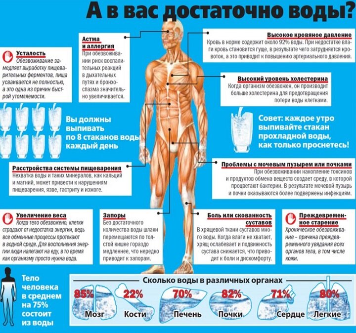 Признаки сильного организма