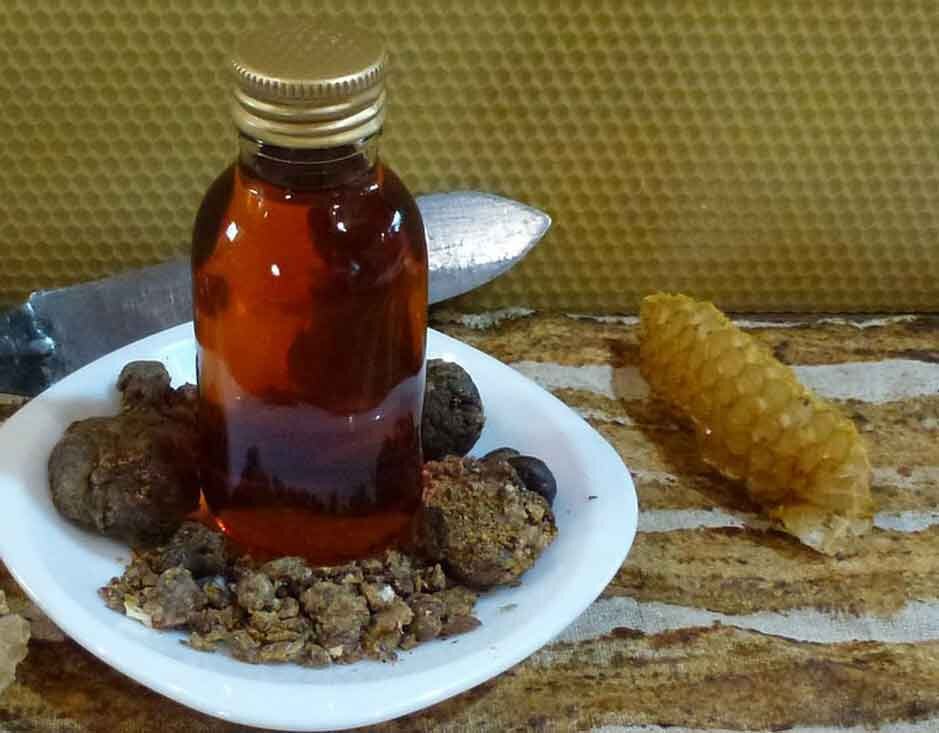 Прополис возвращает здоровье. Целебные свойства прополиса.
Прополис, или пчелиный клей, внешне выглядит  как смолистое  вещество от светло коричневого до  темно коричневого с зеленоватым оттенком с  специфическим запахом. Цвет пчелиного клея, как и любого  другого продукта, определяется местом обитания его производителей.  К радости подделок прополиса не  существует.   При температуре  около 15 С он становится твердым  и хрупким. При   его  разогреве в руках и разминании как пластилина он становится мягким и пластичным. Также при   нагревании плавится.  Пчелы используют прополис в своих жилищах как  ремонт-строительный материал. Замазывая неровности, щели, уменьшая  отверстие летка на зимний период. Назначение прополиса в улье не ограничено. Пчелы обмазывают  трупы  незваных гостей в улье, пришедших полакомится их  медком. Прополис очень приятно пахнет: смешаны ароматы хвои, воска, меда, ванилина. Запах прополиса  при горении напоминает  запах ладана. Химический состав  прополиса очень сложен.  Основными  его составными частями  являются  смолы, эфирные масла, воск.  При сбор пчёлами смолистых веществ и их переработке в прополис попадает ее секреты слюнных желез, пыльца и  другие примеси.  Богат прополис  и неорганическими элементами: железо, медь, марганец, цинк, кобальт.   Многочленные  свойства прополиса  можно разделить на восемь  основных групп. 
1. Бактерицидные, бактериостатические, фунгицидные, антивирусные, противогнилостное, мумифициррующие, дезодоративные и противоспалительные  свойтсва. 
2. противоболевое, то есть  анестезирующее свойство.
3. практика   показала, что  при натирании настойкой  прополиса  способна тормозить   патологическое размножение клеток и даже  рассасывает доброкачественные опухоли. 
4. лечебные свойство –как восстанавливающие. Они выражаются в быстром восстановлении пораженных тканей и интенсивной эпителизации. (Ожоги, язвы, фурункулез, язвы, угревой сыпи).\
5. потогонное и мочегонное  свойство прополиса. 
6. Антиавитаминозную, антиокислительную и антитоксическую способность
7. прополис является активным  биостимулятором, (как БАД улучшая  жизнедеятельность  организма человека и активизирует действие ферментов).
8. прополис обладает  ярко выраженным  закрепляющим  свойством при лечении  диареи. . ярко выражен лечебный эффект отмечается при воспалительных заболеваниях уха, горла, носа, слизистой оболочки полости рта, кожных покровов при ожогах и  ранах. 
Существую  способы и различные  методы  изготовления на основе  прополиса  лекарственных средств. 
 Прополисные масла, прополисные  масла на вазелиновой основе, прополисные  натойки на  алкоголе, прополисные апликации,  прополисное молоко (молочная эмульсия). 
Так же существует множество народных  рецептов приготовления и применения данных  лечебных  препаратов на   основе  прополиса. Как  наружные заболевания, так и внедрении и  даже снятие болей (зубной, суставной, головной).         
