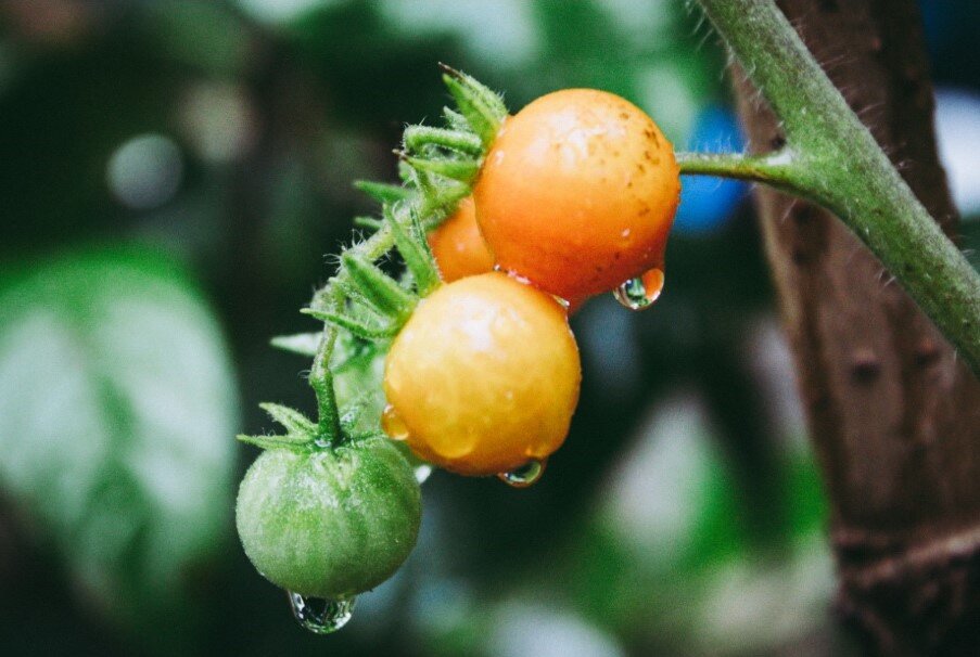 Photo by Richard Rivas on Unsplash