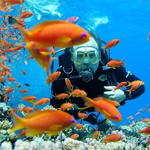 Красоты Красного моря