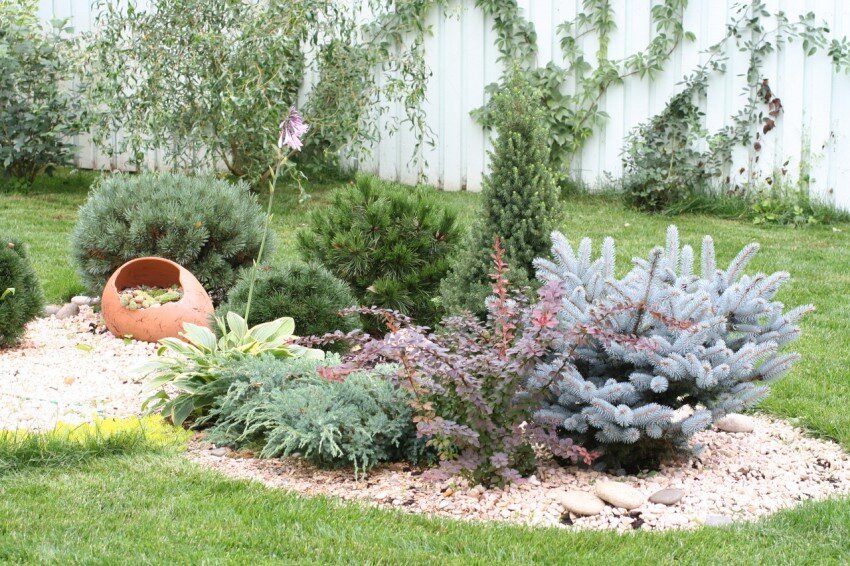 Рокарий - пошаговая инструкция как создать каменистый сад в ландшафтном .