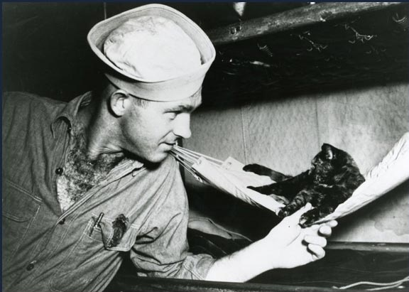 Маленький гамак для члена экипажа. Источник: https://znay-obo-vcem.livejournal.com/523439.html