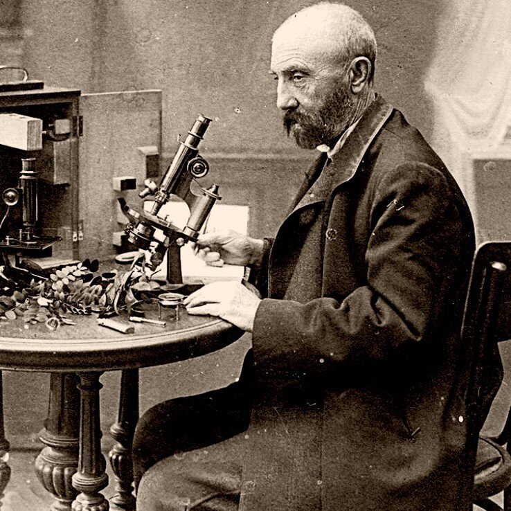 Иван Мичурин за работой