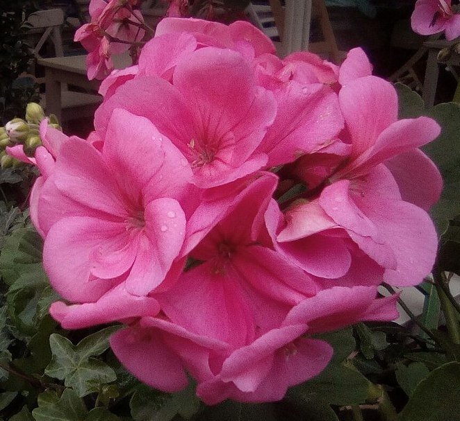 Автор фото: Максим Вишневский