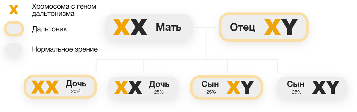 Девочки могут быть дальтониками. Дальтонизм заболевание. Colorblind дальтонизм. Врожденный дальтонизм. Дальтонизм цветовая слепота.
